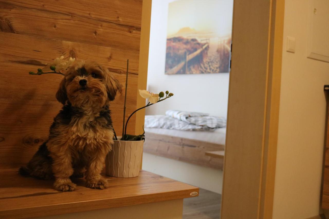 אובדאך Zirben Diamant Rooms & Dogs מראה חיצוני תמונה
